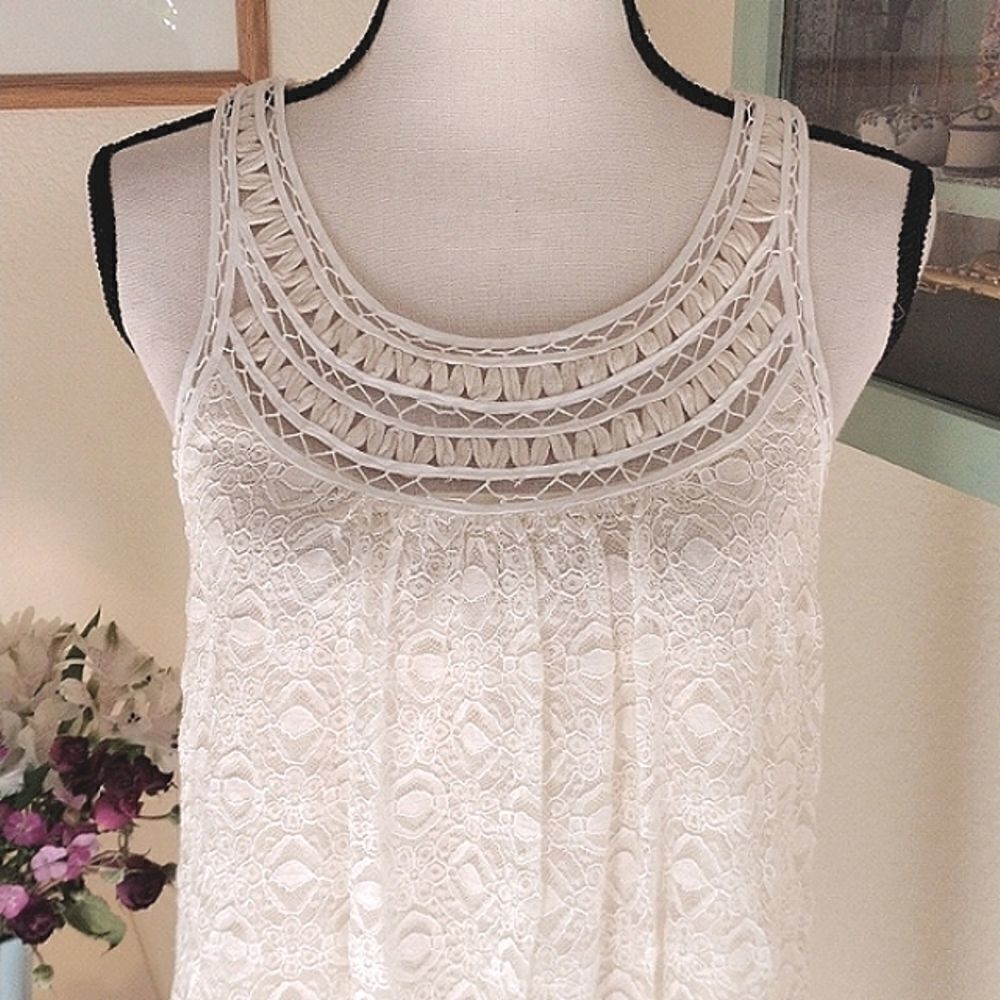 NWT Max Studio Lace Shift Dress - Picture 2 of 13